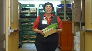 BayCare's Extraordinary Team