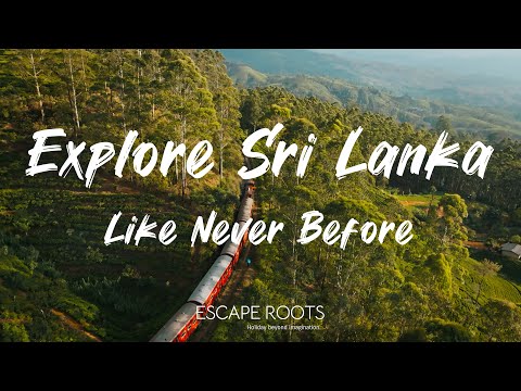 Escape Roots – Your Gateway to Unforgettable Journeys!