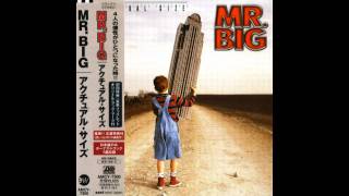 Mr. Big - I Don&#39;t Want To Be Happy