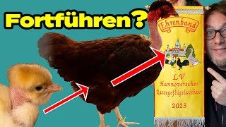 Extrem seltene Hühnerrasse mit Einkreuzung zerstört oder gerettet? Nackthalshühner rosenkämmig rot