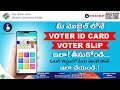 Voter ID Card and Voter Slip Download in Mobile (2024)