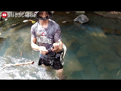 EP203 " DALAG SA ILALIM NG MAN HOLE " PAMAMANA SA MABABAW NA LUNGGA | CATCH AND COOK