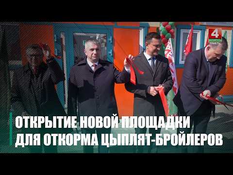 Новый цех для откорма цыплят-бройлеров открыли под Буда-Кошелево видео