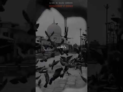 #muhammadﷺ #syed #konain #konain #beautiful #real #video #islamicstatus #beautyofislam #ytshorts