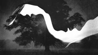 The Airplane Boys - Like You