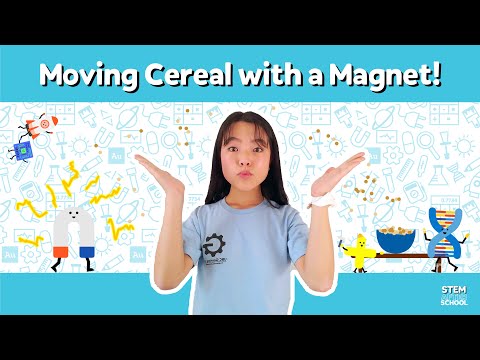 Fun Science Experiments Using Magnets!