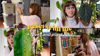 🌿 planty reset for february 💖 organizing potting amendments, new plants, + upcoming plans