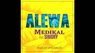 Medikal - Alewa ft. Shugry (Audio Slide)