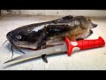 The ONLY CATFISH FILLET Tutorial You Ll Ever Need