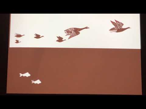 M.C Escher  - Sky and Water