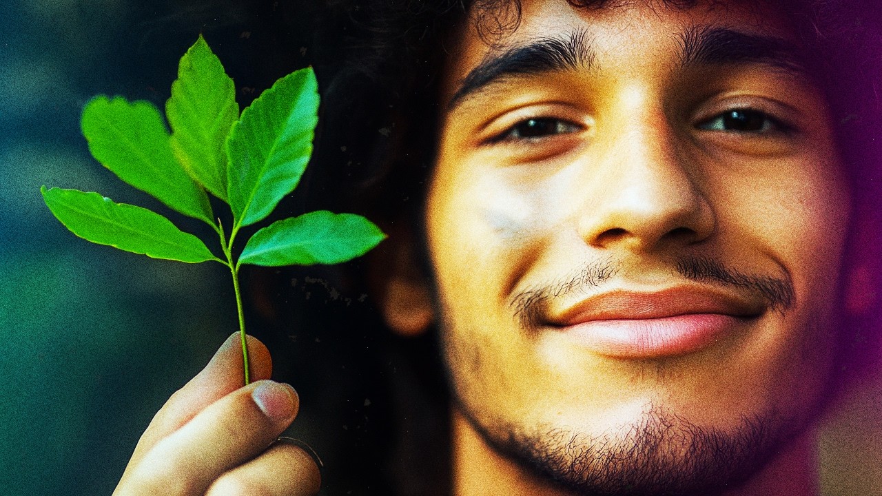 o PROBLEMA de plantar 1 TRILHÃO de ÁRVORES