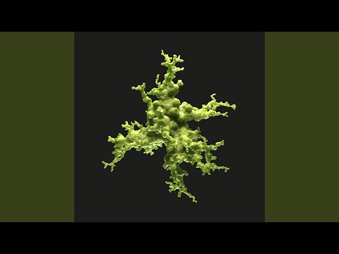 Different Versions of Your Love