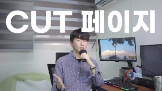 다빈치리졸브의 컷페이지를 소개합니다