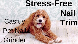 Casfuy Pet Nail Grinder: Best Grinder for Stress-Free Nail Trim