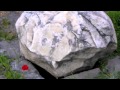 Friends, Romans, Countrymen Song 