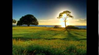 Sugar's sweet serenade