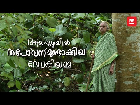ഔഷധങ്ങൾ നിറഞ്ഞ തപോവനത്തിന്റെ കഥ | Mother of a forest​​ | Devaki Amma | Man-made Forest Alappuzha
