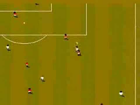 sensible world of soccer amiga 500