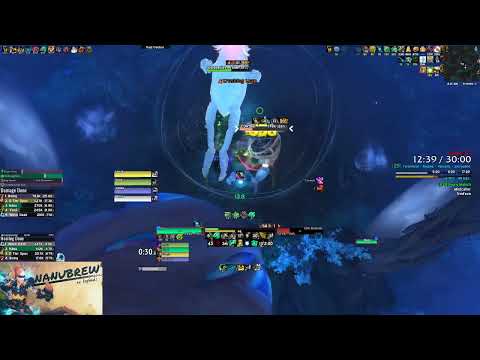 +25 Mists of tirna Scithe Tyrannical Encrypted Brewmaster 9.2.5 Gameplay