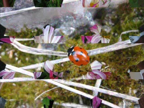 Kas mäletad veel seda lõhna...