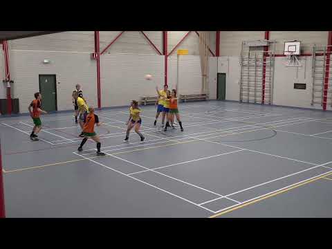 SDO/Fiable 1 - SKF 1