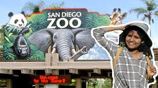 Visiting the San Diego Zoo | Best Zoo in the WORLD!