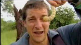 Man vs. Wild - Eating Giant Larva
