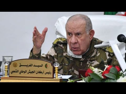 فضيحة شفيق  ابن الجنرال شنقريحة