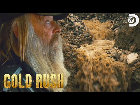 Tony Floods the Mega Cut! | Gold Rush