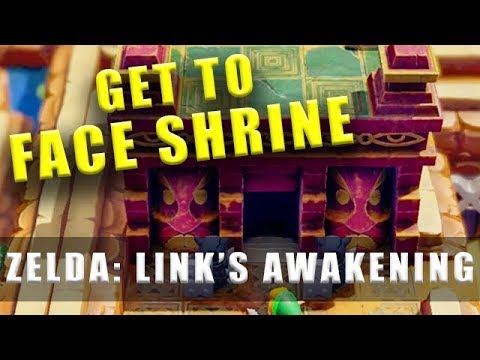 The Legend of Zelda Link's Awakening Switch how to get into the Face Shrine