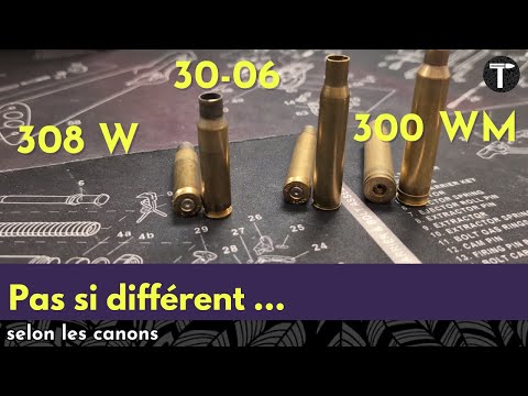 308 win VS 30-06 VS 300 win mag