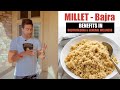 MILLET  बाजरा (Bajra) - Benefits in Bodybuilding & General Wellness - Guru Mann