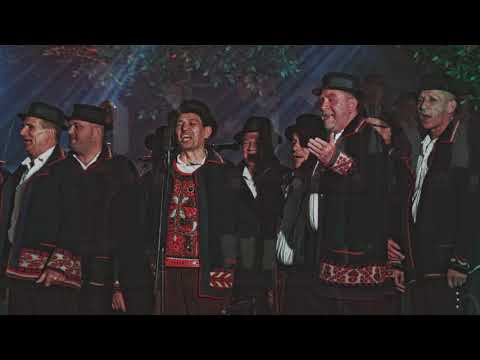 Tri Šokca Feat. Rockoko Orchestra - Tri Šokca: 15. Glazbeni Festival Šokačke Pisme Županja 2020.