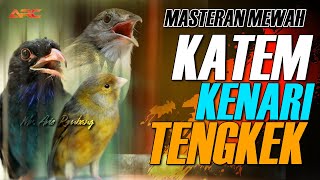 Download lagu KAPAS TEMBAK GACOR - KENARI - TENGKEK mp3
