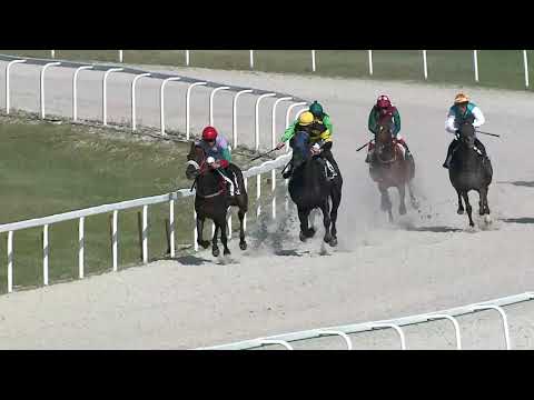 2019.08.04. 02. futam - MINCZI HENDIKEP (III.o.) (szintetikus pálya)