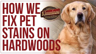 Pet Stains on Hardwoods, how we fix them!