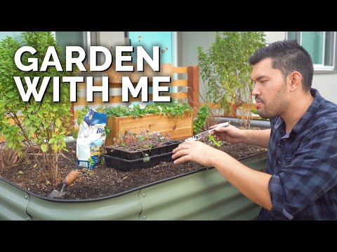 Garden With Me Starting Seeds Pruning Composting