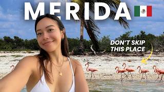 Exploring Merida, Mexico 🇲🇽 Best Things to Do and Eat