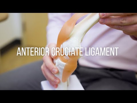 Anterior Cruciate Ligament (ACL) Injuries