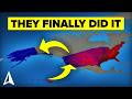 50 US Geography Facts NOBODY Taught You