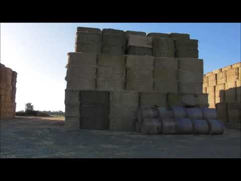 straw stack holding yard 4/10/18.
