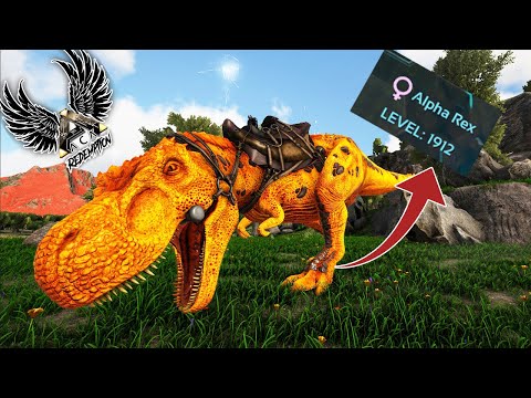 NOSSO REX NASCEU COM MAIS DE 1800 NIVEIS!!! ep.14 - ARK ACA REDEMPTION VOLCANO