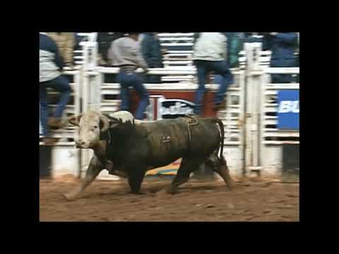 Sugar Bear bucks Ty Murray - 95 PBR Irving