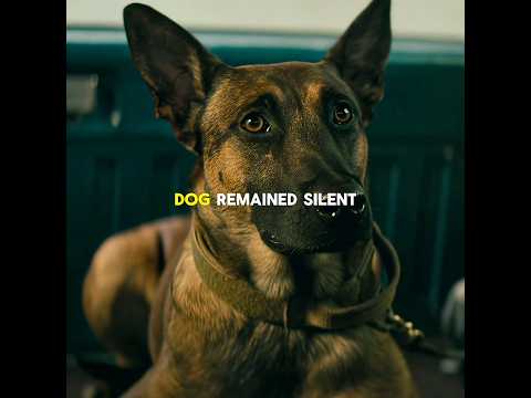 The Soldier Who Tried to Tame a Dangerous Military Dog