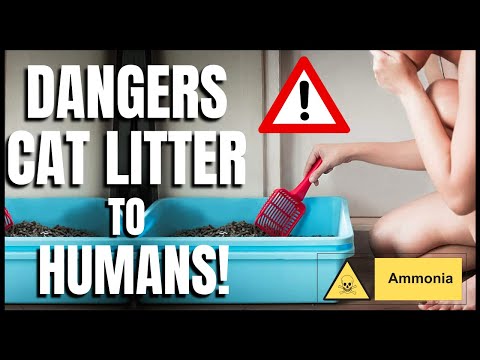 YouTube video about: Why is there a shortage of cat litter 2021?