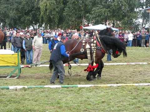 ME tah Klokočov 12 9 09 001