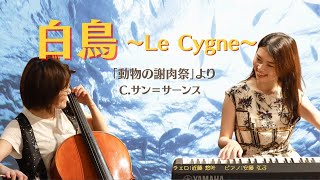 Download lagu 【チェロといえば】サンサーンス作曲 動物の謝肉祭より「白鳥」- C.Saint-Saëns Le Cygne from Le carnaval des animaux 【チェロとピアノ】 mp3 Download lagu 【チェロといえば】サンサーンス作曲 動物の謝肉祭より「白鳥」- C.Saint-Saëns Le Cygne from Le carnaval des animaux 【チェロとピアノ】 mp3