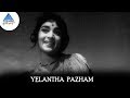 Yelantha Pazham Video Song | Panama Pasama Songs | Gemini Ganesan | Saroja Devi |Pyramid Glitz Music