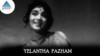 Download lagu Yelantha Pazham Video Song | Panama Pasama Songs | Gemini Ganesan | Saroja Devi |Pyramid Glitz Music mp3 Download lagu Yelantha Pazham Video Song | Panama Pasama Songs | Gemini Ganesan | Saroja Devi |Pyramid Glitz Music mp3