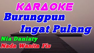 Download lagu Burungpun Ingat Pulang || Karaoke Nada Wanita (Nia Daniaty) mp3 Download lagu Burungpun Ingat Pulang || Karaoke Nada Wanita (Nia Daniaty) mp3